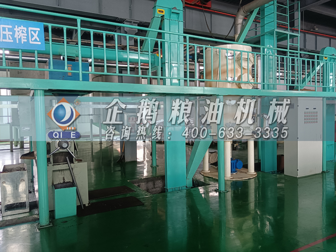 企鵝牌茶籽油雙螺桿榨油機(jī)，用心制造獲得客戶認(rèn)可(圖3)