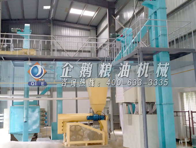 如何投資建設(shè)棕櫚油加工廠？企鵝糧油機(jī)械在線為您答疑解惑(圖4)